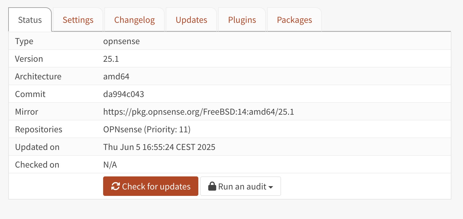 Page de mise à jour du firmware OPNsense