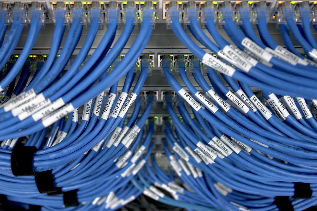 Câbles réseau bleus étiquetés, branchés sur un switch